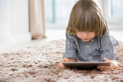rugs, carpets, flooring, hardwood flooring