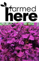 Farmed Here Illumitex