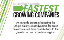 LVB Fastest Growing Companies 2014