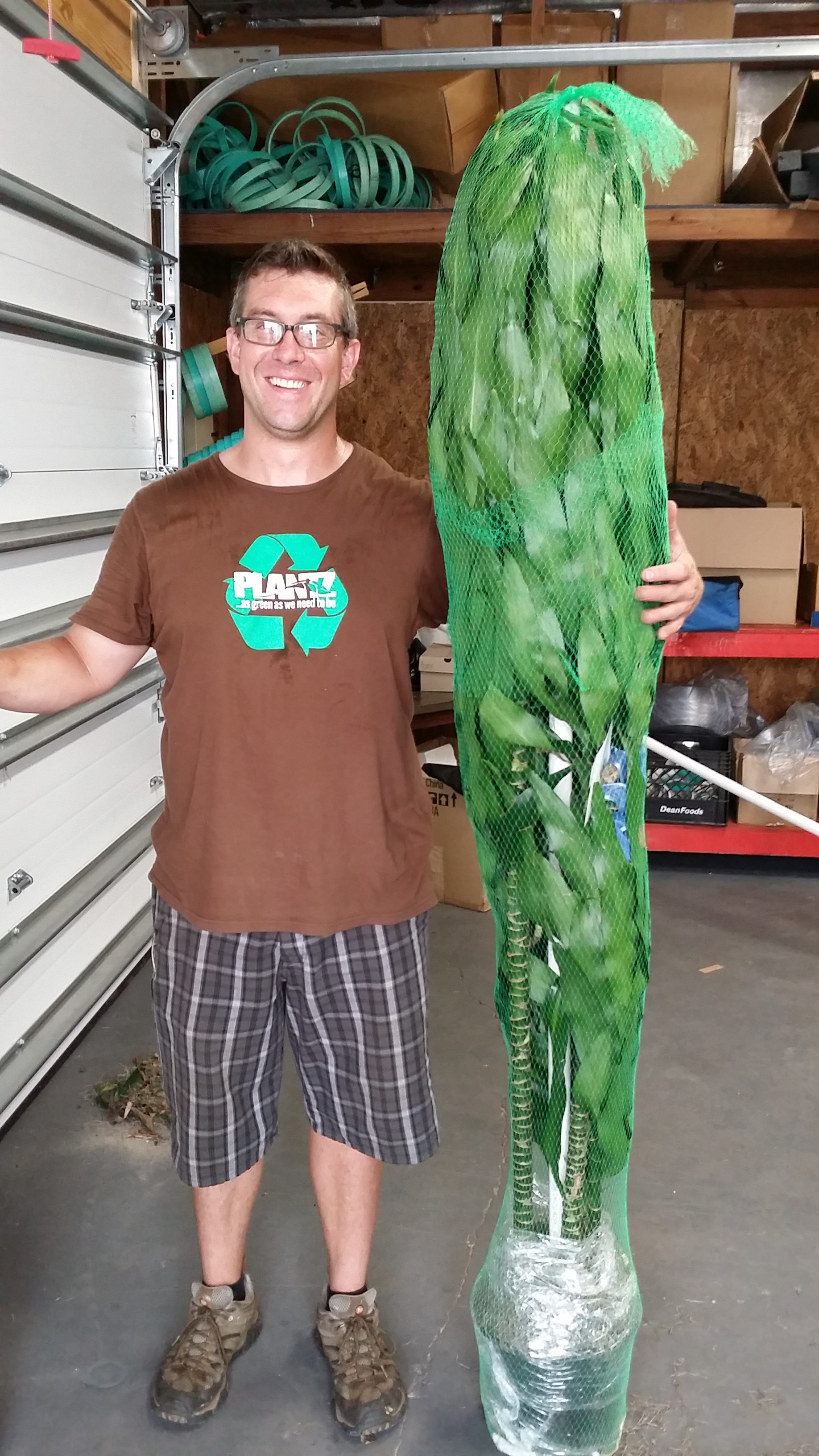 The Journey of the Lisa Cane One Plant's Unlikely Journey Across the