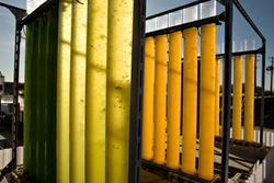 One of ASU's spinouts, Heliae, is an algae-based company that develops nutraceutical and personal care products.
