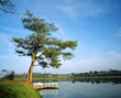 Smile Travel Vietnam Offers a New Tour to Dalat, a Romantic City in...
