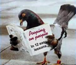 Spring 2015 Gopher Patrol offers new specialized program: the Birds...