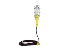 10 Watt Colored LED Bulb enclosed in a waterproof and vapor proof housing