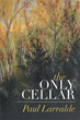 Adult fairytale takes readers into ‘The Only Cellar’