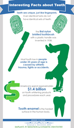Facts about teeth.