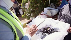 Lotpath Inspector iPad App