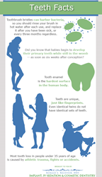 Facts about teeth.