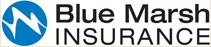 Blue Marsh Insurance