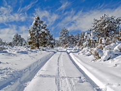 Snowy weather, cold winter, cold weather, freezing road, frozen road