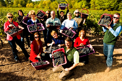 Wine Tours France