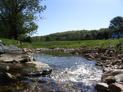 In this stream restoration project in Baltimore County, Maryland, a suburban stream and its floodplain have been reconnected to help control erosion and protect nearby bridges and sewer lines from floods. Credit: Paul Mayer, US EPA