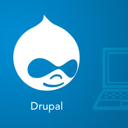 drupal hosting provider security