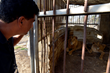 FOUR PAWS Animal Rescue Reaches Gaza Zoo