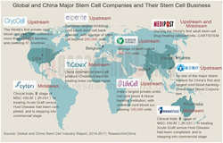 Stem Cell Industry