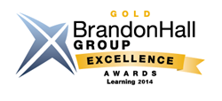 ICS Learning Group won the 2014 Gold Medal for “Best Use of Games and Simulations for Learning” for the operational safety training it developed for an industrial client using 3D simulation and gamification in the Brandon Hall Group Excellence Awards.