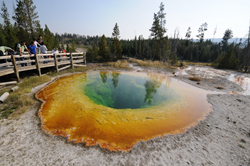 Understanding how mineral content affects water color in pools at Yellowstone National Park may provide important information for the development of alternative fuels.