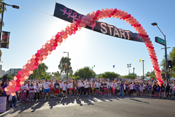 Susan G. Komen Phoenix Race For the Cure 2014
