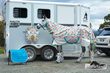 Horses Having a Pyjama Party Raise Eyebrows for Horseland's...