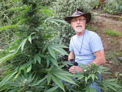 Mel Frank will lead a special elective course on growing marijuana at Oaksterdam University on September 27, 2014.