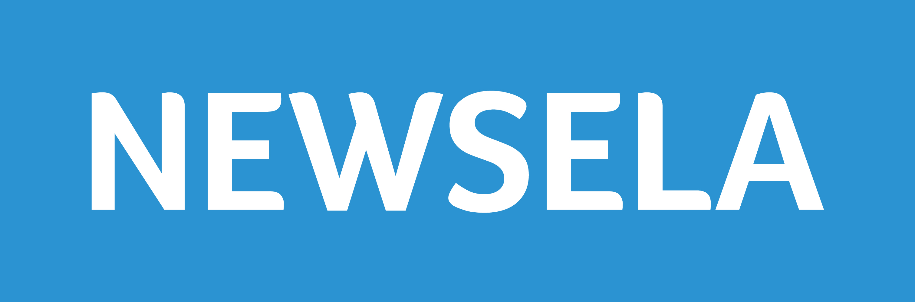 Image result for newsela logo