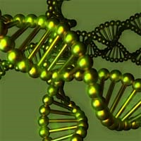 Mesothelioma and Chromosomal Abnormalities