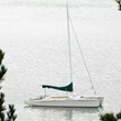 Tomales Bay Sailing In Marin County Launches New Website