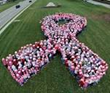 Honoring Cancer Survivors By Building A Human Pink Breast Cancer...
