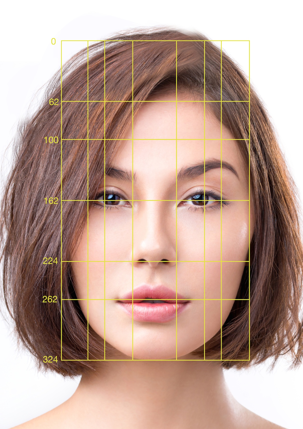 perfect face golden ratio