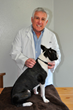 Hearthstone Homemade Debuts New Website for Homemade Dog Food Recipes...