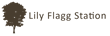 Comfortable Living at Lily Flagg Station Apartments in Huntsville,...