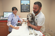Boston Veterinary Clinic, Boston's Newest Full-service Veterinary...