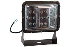 60 Watt LED Flood Light with Optional Color Output