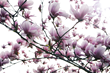 World-Renowned Photographer James Houston Launches Online Photographic...
