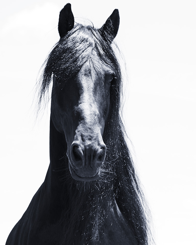 Renowned Beauty and Fashion Photographer James Houston Announces