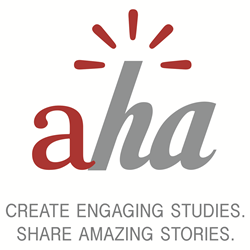 qualitative online research platform