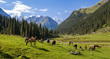 Remote Lands Expands into the Unexplored Countries of Kazakhstan and...