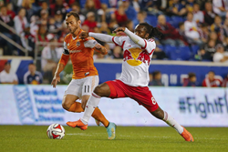 Houston-New York MLS