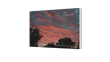 Poetry and Photography Savant, Francesca Avincola, Releases New...