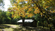 Autumn Travel Guide: Georgia State Parks' “Leaf Watch” Website...