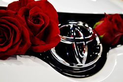 Elmhurst Toyota Ladies Day