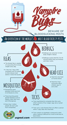 Vampire Bugs: Beware Of Bloodsucking Pests