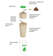 Introducing the BIOS Urn – An Ecological Way to Honor and Memorialize...