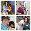 Veterinary Technicians Recognized in Nationwide Contest