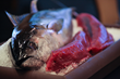Education is Served! The Frugé Seafood Company Presents School...