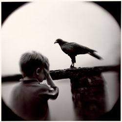 Boy and Hawk