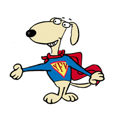 All super pets unite at Your Family Vet!