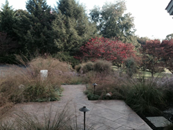 2015 Garden Trends