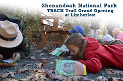 Families Hiking | Go Blue Ridge Travel