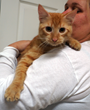 Rescue Mission of Love Comes to Brevard County